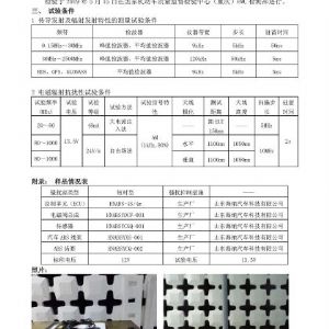 液壓ABS檢驗報告